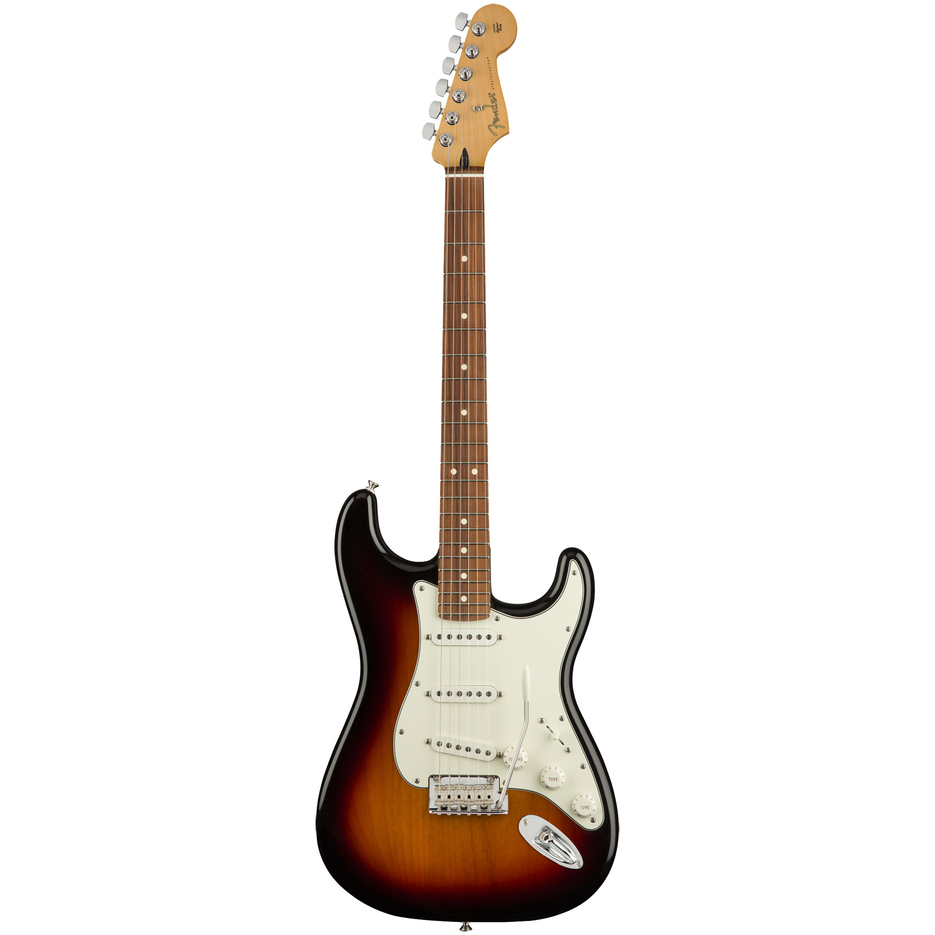 Fender Stratocaster Guitar Canada
